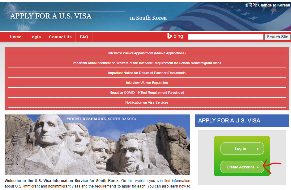 u.s. travel visa application