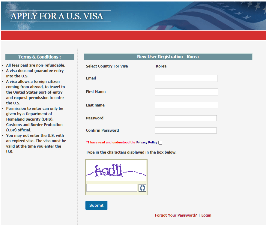 u.s. travel visa application