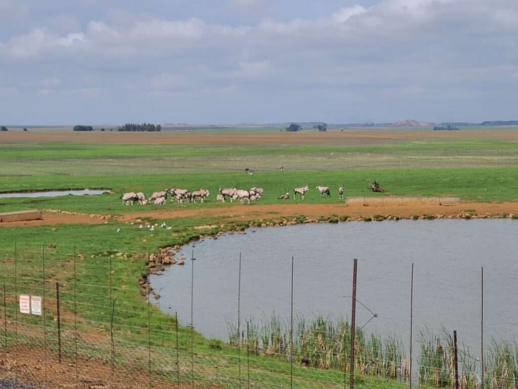 A game-stocked farm en route to Kruger National Park