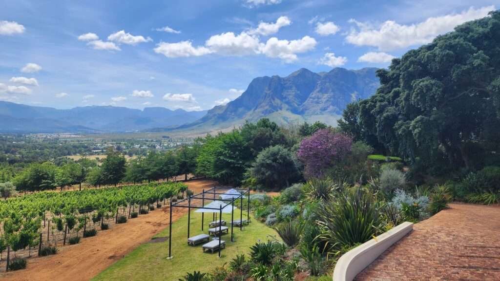 winelands of the western cape