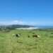 Morgan Bay Cliffs in the Eastern Cape Province