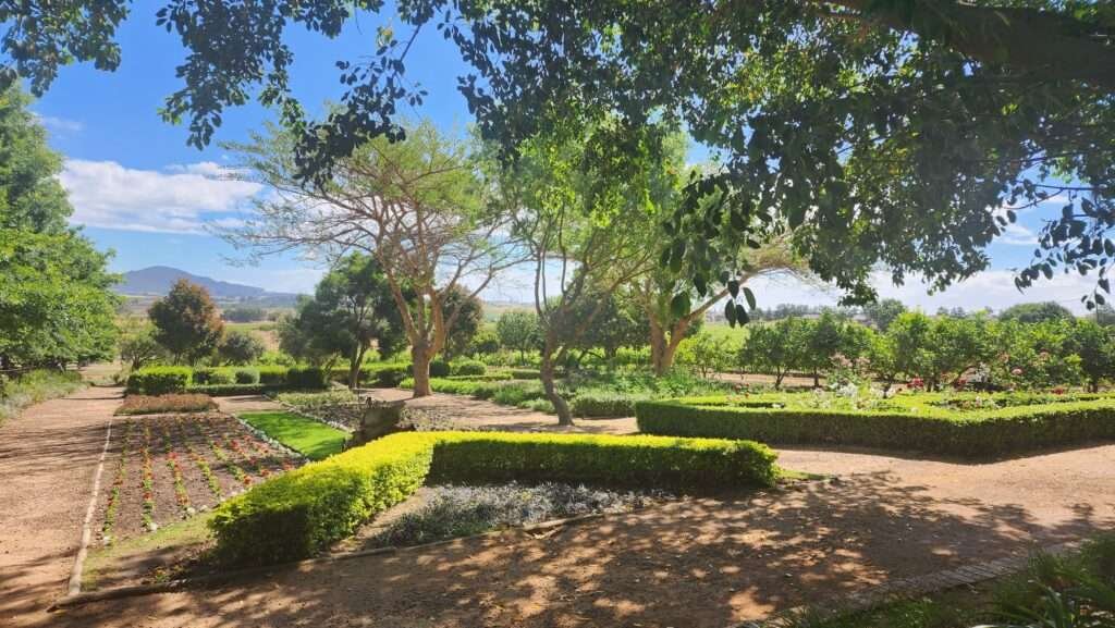 The garden at Fairview Wine Estate