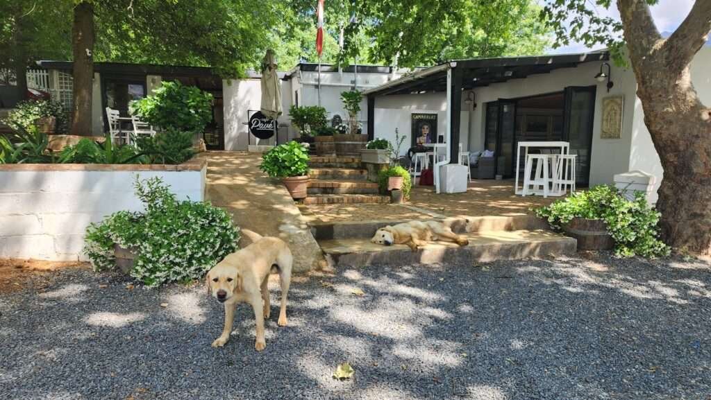 The entrance to the tasting room at Camberley Wine Estate