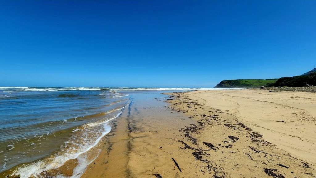 The Morgan Bay beach