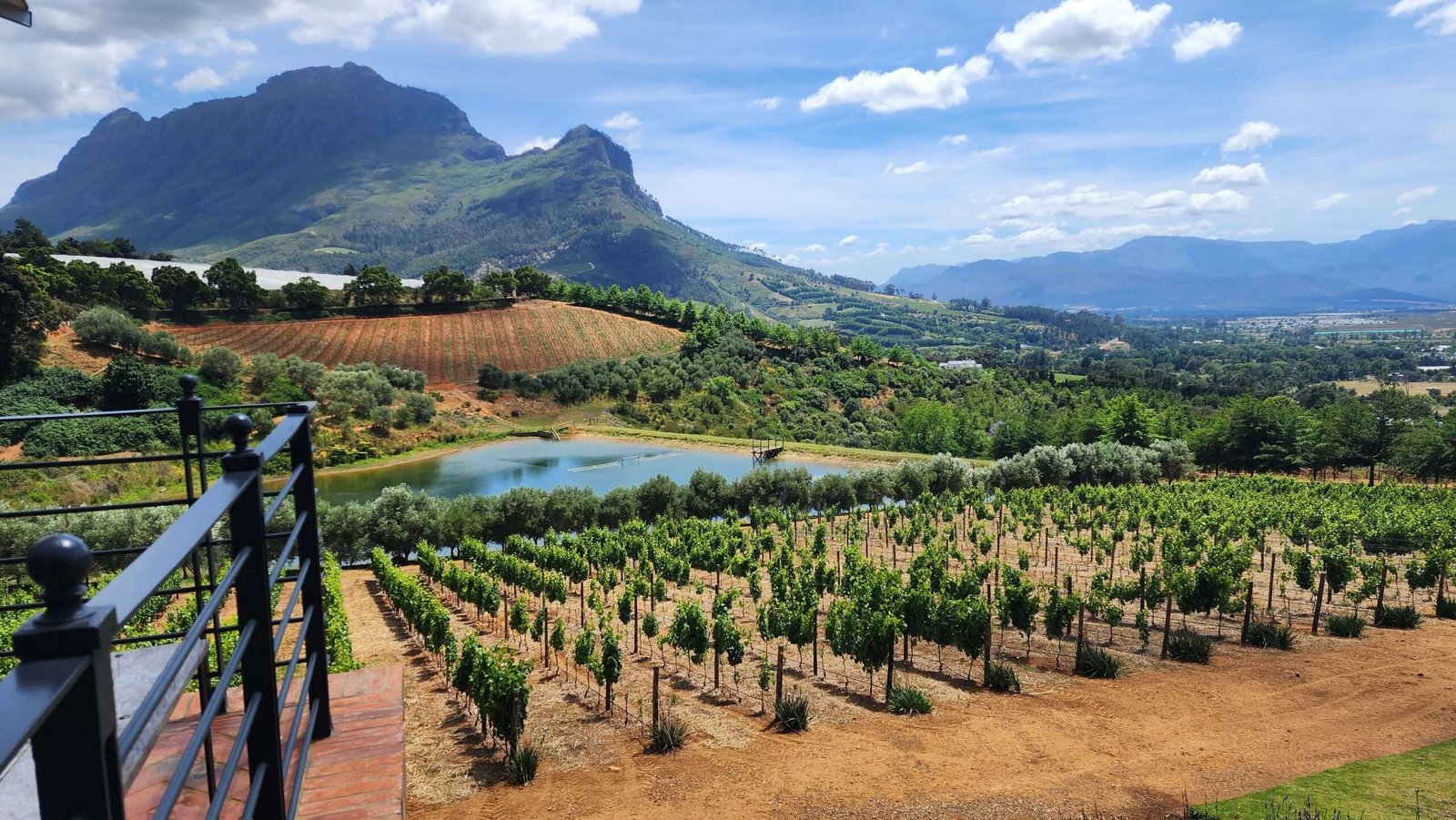 How to spend three days touring wineries around Capetown, South Africa