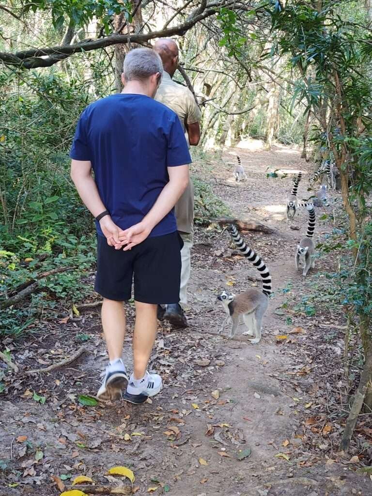 The lemurs of monkeyland