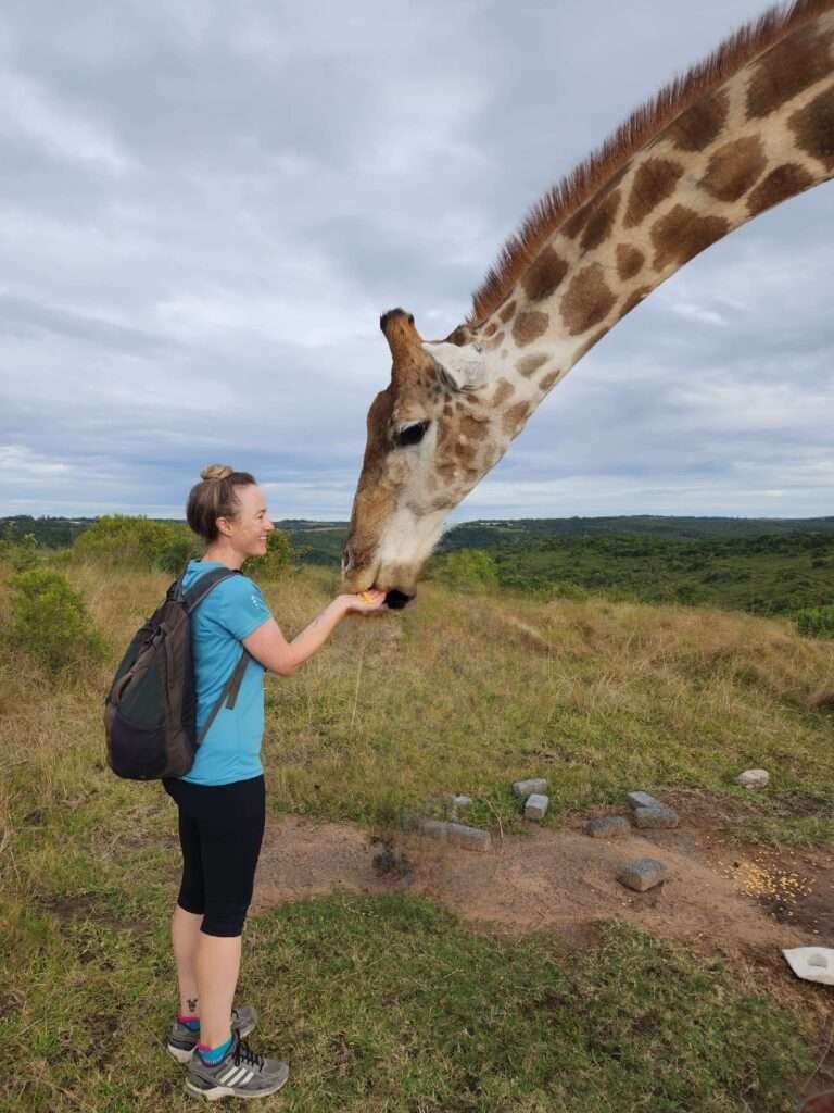 A giraffe interaction while hiking at Areena