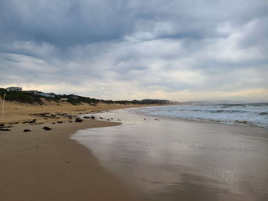 tourism in port alfred