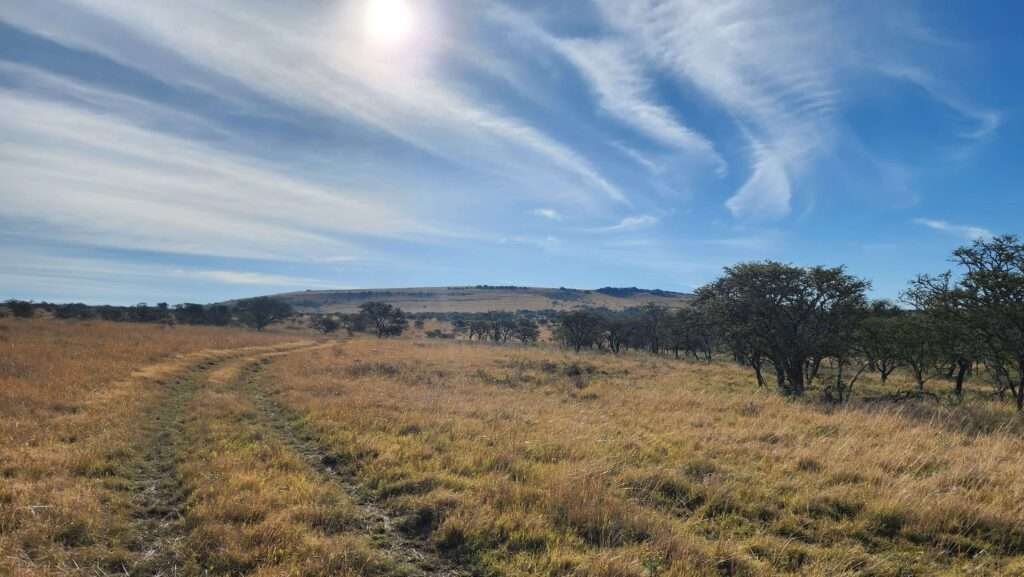 views from 'the sleep shed' at Matola Reserve