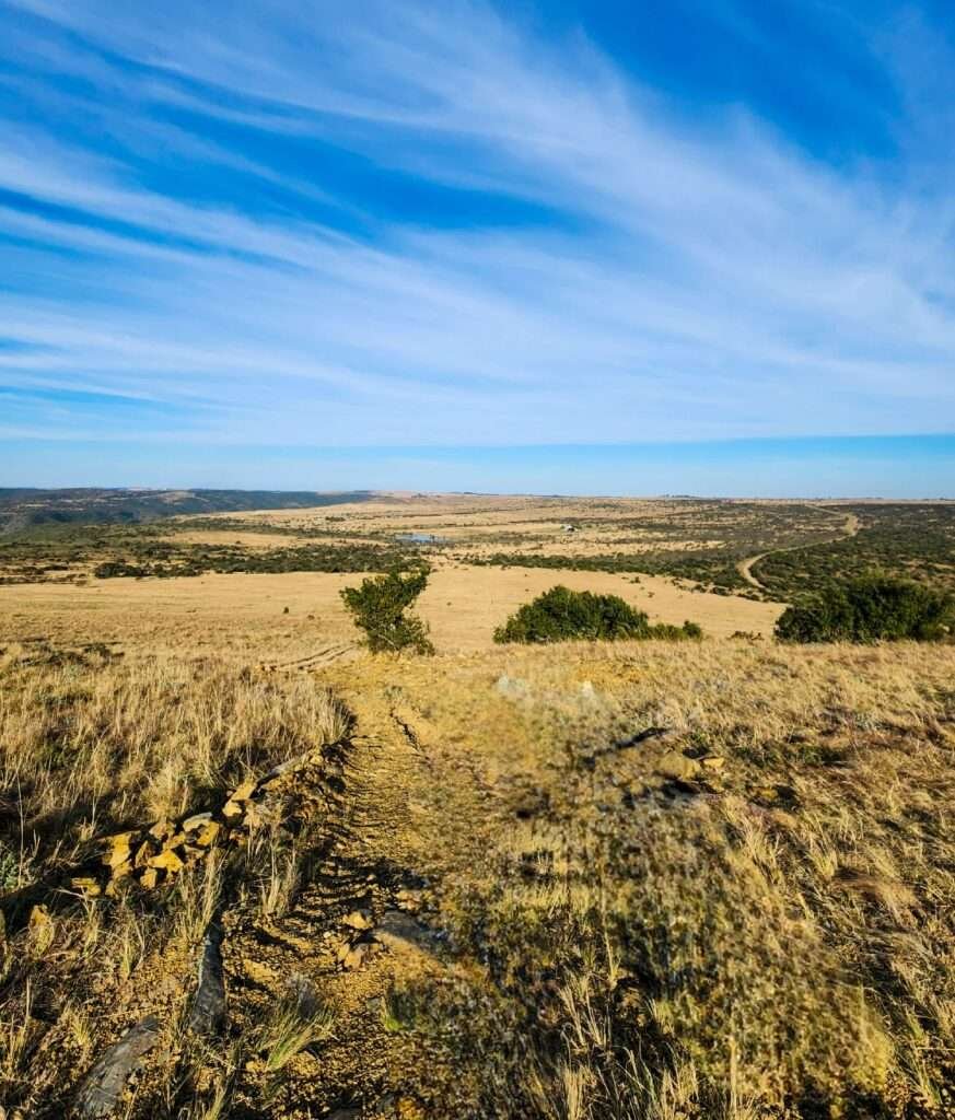 views at Matola Reserve