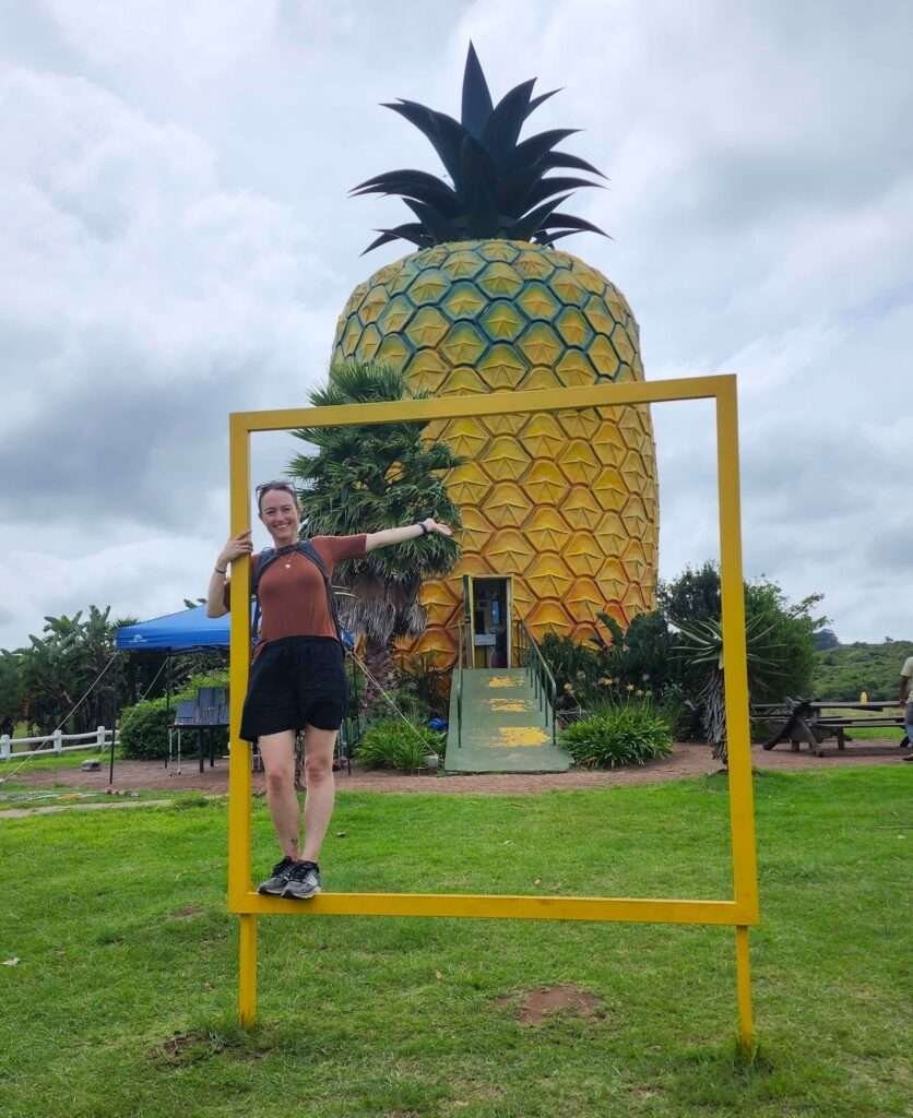 The big Pineapple, an iconic symbol of Bathurst