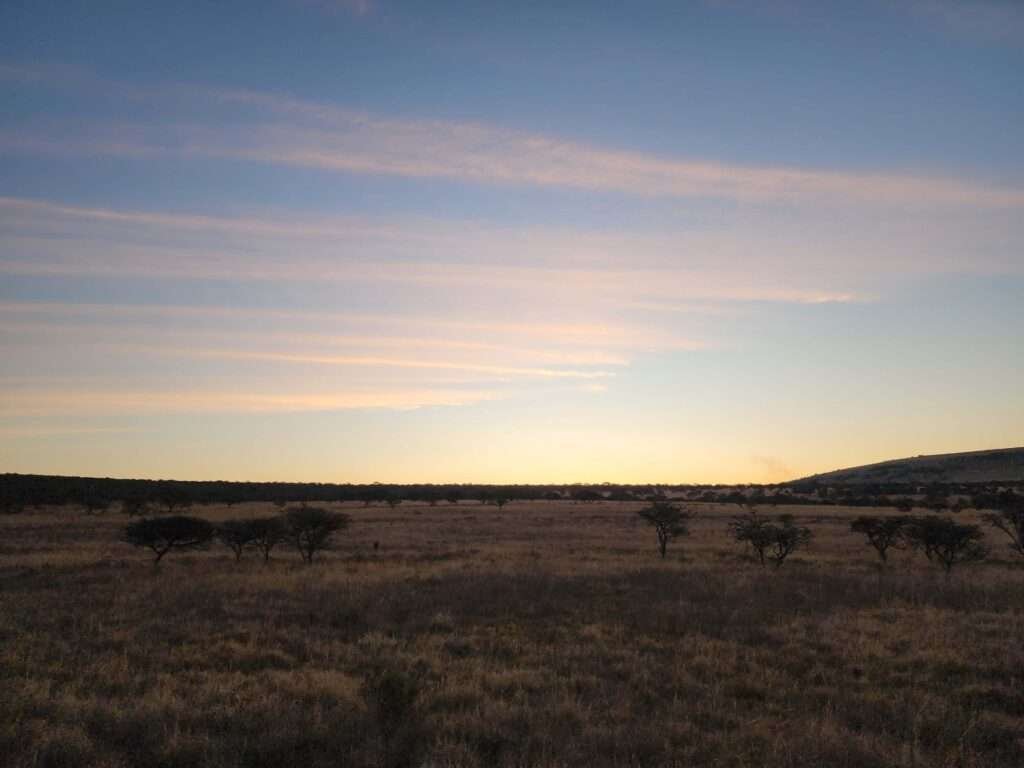 Sunset at Matola Reserve