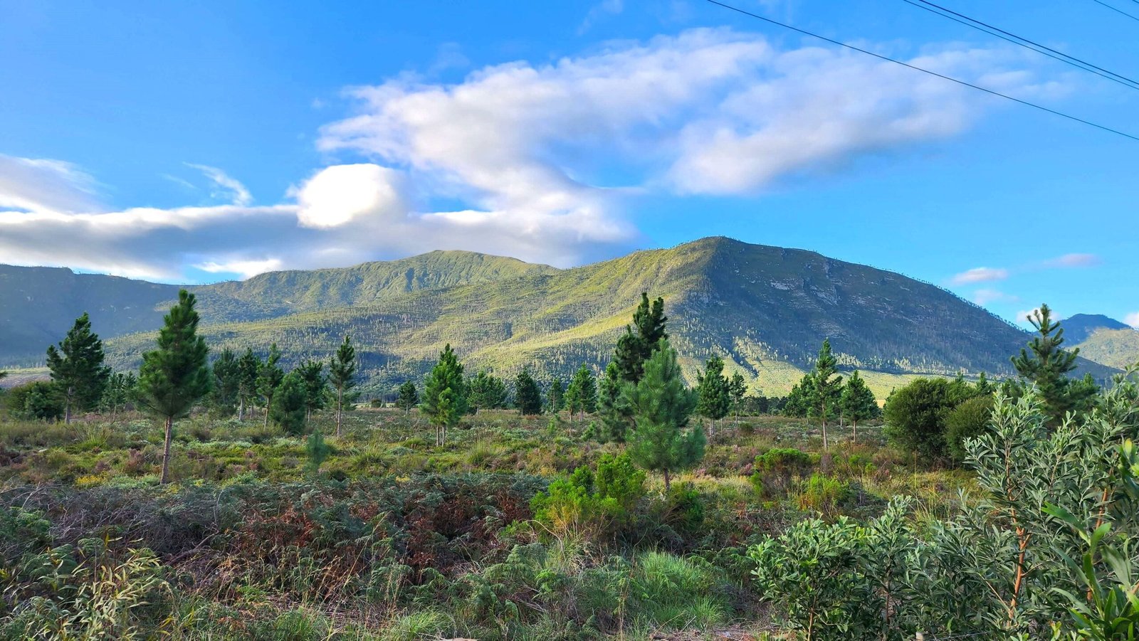 Tsitsikamma National Park