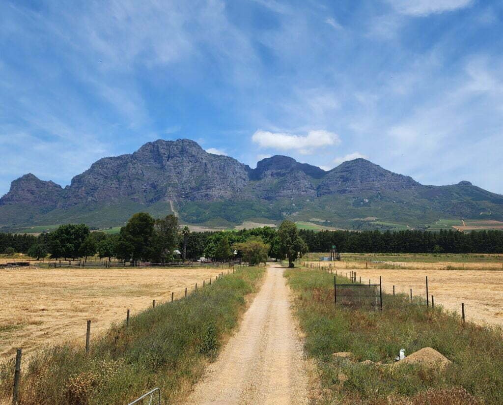 Scenery from the Franschhoek Wine Tram