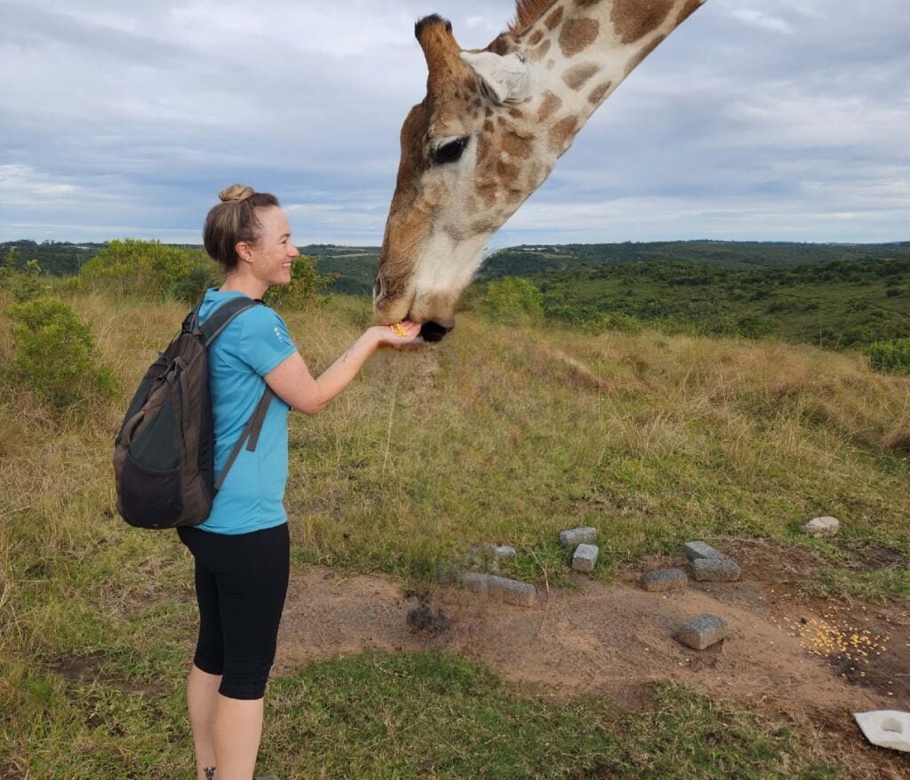 Giraffe interaction in the Eastern Cape