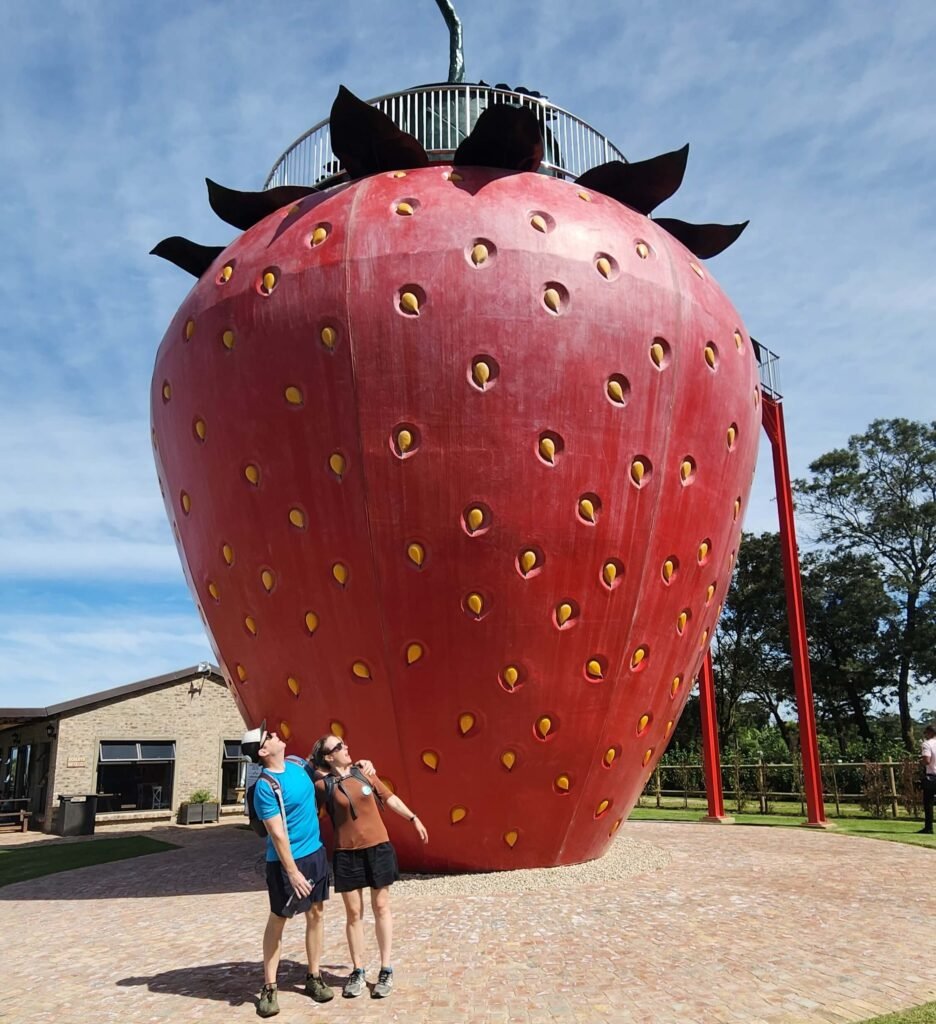 redberry farm in the city of George along the Garden Route