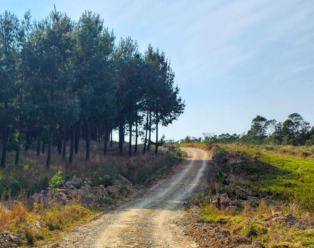 Stutterheim, forest destinations near East London